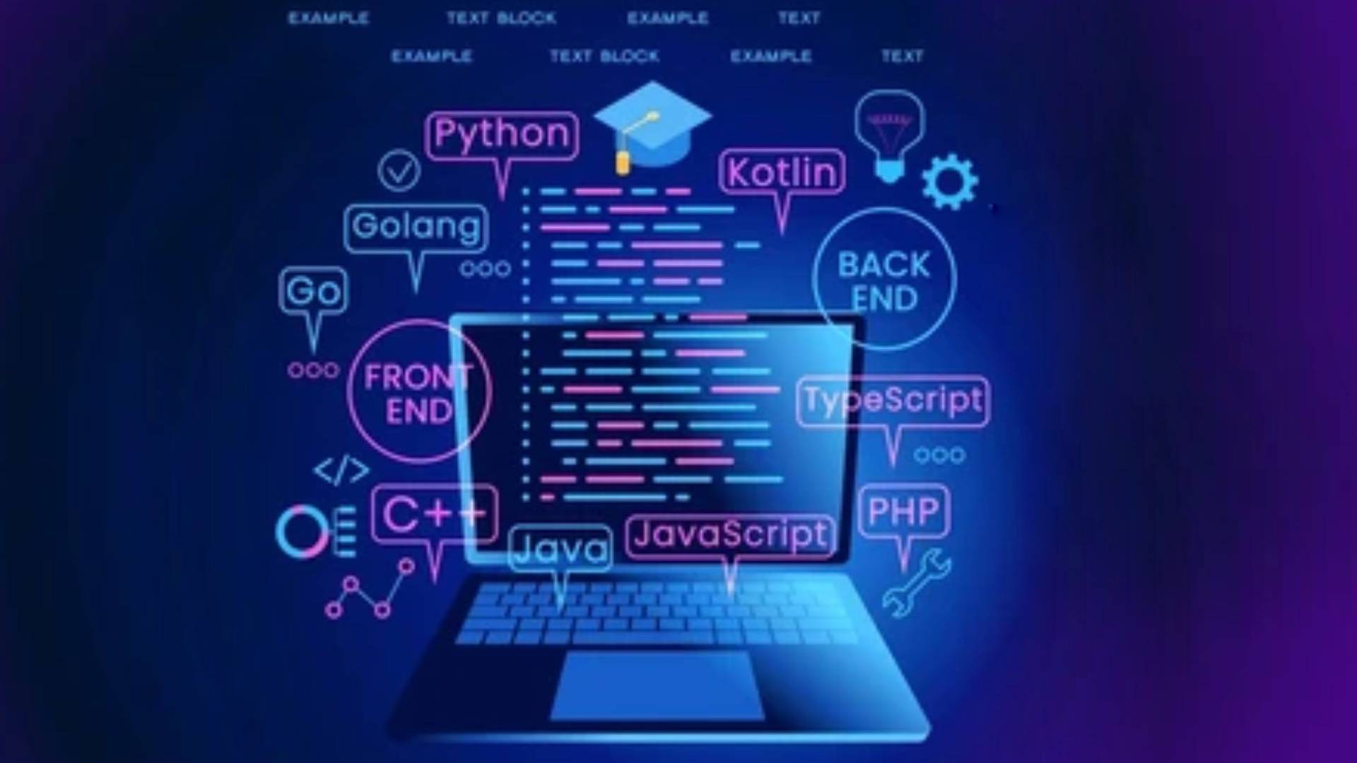 web app development service by nexus hybrids